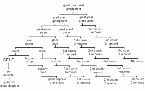 Billede af et generisk slægtstræ i mange led, herunder grandslægtninge (grandfætter, grandtante mv)